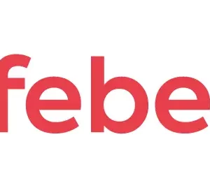 febelfin